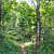 Queen Wilhelmina: Lovers Leap Trail - 1 mi photo Queen Wilhelmina: Lovers Leap Trail - 1 mi photo