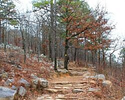 Pinnacle Mountain: West Summit Trail Pics 2014 photo