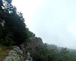 Mount Magazine: Benefield East Loop Trail - 1 mi photo Mount Magazine: Benefield East Loop Trail - 1 mi photo