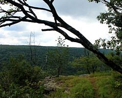 Mount Magazine: Benefield East Loop Trail - 1 mi photo Mount Magazine: Benefield East Loop Trail - 1 mi photo