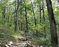 Queen Wilhelmina: Reservoir Trail - 1 mi (o&b) photo Queen Wilhelmina: Reservoir Trail - 1 mi (o&b) photo