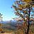 White Rock Mountain Rim Trail (Ozark Forest) Fall 2014 Pics photo