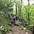 Petit Jean: Cedar Falls Trail – 2 mi (o&b) photo Petit Jean: Cedar Falls Trail – 2 mi (o&b) photo
