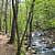 Petit Jean: Cedar Falls Trail – 2 mi (o&b) photo Petit Jean: Cedar Falls Trail – 2 mi (o&b) photo