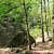 Petit Jean: Cedar Falls Trail – 2 mi (o&b) photo Petit Jean: Cedar Falls Trail – 2 mi (o&b) photo