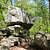 Petit Jean: Cedar Falls Trail – 2 mi (o&b) photo Petit Jean: Cedar Falls Trail – 2 mi (o&b) photo