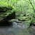 Pack Rat Falls (Ozark Forest) photo Pack Rat Falls (Ozark Forest) photo