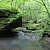 Pack Rat Falls (Ozark Forest) photo Pack Rat Falls (Ozark Forest) photo