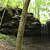 Pack Rat Falls (Ozark Forest) photo Pack Rat Falls (Ozark Forest) photo