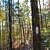 Cedar Lake Trail (Ouachita Forest) – 3 mi photo Cedar Lake Trail (Ouachita Forest) – 3 mi photo