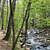 Petit Jean: Cedar Falls Trail – 2 mi (o&b) photo Petit Jean: Cedar Falls Trail – 2 mi (o&b) photo