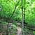 Lake Leatherwood: Miner’s Rock Trail – 4 mi photo Lake Leatherwood: Miner’s Rock Trail – 4 mi photo