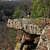 Pedestal Rocks Loop Trail (Ozark Forest) - 2 mi photo Pedestal Rocks Loop Trail (Ozark Forest) - 2 mi photo