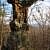 Pedestal Rocks Loop Trail (Ozark Forest) - 2 mi photo