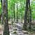 Pinnacle Mountain: Rocky Valley/East Quarry Trails – 3 mi photo Pinnacle Mountain: Rocky Valley/East Quarry Trails – 3 mi photo