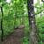 Mount Magazine: Bear Hollow Trail - 5 mi (o&b) photo Mount Magazine: Bear Hollow Trail - 5 mi (o&b) photo