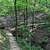 Hobbs: Shaddox Hollow Trail - 1 mi photo Hobbs: Shaddox Hollow Trail - 1 mi photo