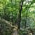 Hobbs: Shaddox Hollow Trail - 1 mi photo Hobbs: Shaddox Hollow Trail - 1 mi photo