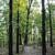 Hobbs: Shaddox Hollow Trail - 1 mi photo Hobbs: Shaddox Hollow Trail - 1 mi photo