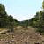 Lake Leatherwood: Beacham Trail - 3 mi photo Lake Leatherwood: Beacham Trail - 3 mi photo