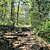 Lake Leatherwood: Beacham Trail - 3 mi photo Lake Leatherwood: Beacham Trail - 3 mi photo