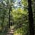 Lake Leatherwood: Beacham Trail - 3 mi photo Lake Leatherwood: Beacham Trail - 3 mi photo