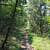 Lake Leatherwood: Beacham Trail - 3 mi photo Lake Leatherwood: Beacham Trail - 3 mi photo