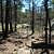 Robbers Cave Nature Trail -- .5 mi photo Robbers Cave Nature Trail -- .5 mi photo