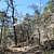 Robbers Cave Nature Trail -- .5 mi photo Robbers Cave Nature Trail -- .5 mi photo
