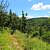 Mount Magazine: North Rim Trail - 5 mi (o&b) photo Mount Magazine: North Rim Trail - 5 mi (o&b) photo