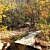 Lake Tenkiller: Buzzard Roost Trail Fall Pics photo