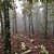 Hunt’s Loop Trail (Ouachita Forest) - 4 mi photo Hunt’s Loop Trail (Ouachita Forest) - 4 mi photo