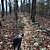 Hunt’s Loop Trail (Ouachita Forest) - 4 mi photo Hunt’s Loop Trail (Ouachita Forest) - 4 mi photo
