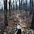 Hunt’s Loop Trail (Ouachita Forest) - 4 mi photo Hunt’s Loop Trail (Ouachita Forest) - 4 mi photo