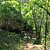 Petit Jean: Seven Hollows Trail – 4 mi photo Petit Jean: Seven Hollows Trail – 4 mi photo