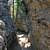 Petit Jean: Bear Cave Trail - .5 mi photo Petit Jean: Bear Cave Trail - .5 mi photo