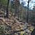 Charlton Trail (Ouachita Forest) - 8 mi (o&b) photo Charlton Trail (Ouachita Forest) - 8 mi (o&b) photo