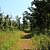 Mount Magazine: Will Apple’s Road Trail – 3 mi (o&b) photo Mount Magazine: Will Apple’s Road Trail – 3 mi (o&b) photo