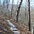 Tall Peak Trail (Ouachita Forest) – 6 mi (o&b) photo Tall Peak Trail (Ouachita Forest) – 6 mi (o&b) photo