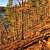 Lake Ouachita: Caddo Bend Trail – 4 mi photo Lake Ouachita: Caddo Bend Trail – 4 mi photo