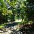 Tenkiller State Park: Multi-Use Trail – 1 mi (o&b) photo