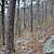 Black Fork Mountain Trail (Ouachita Forest) – 11 mi (o&b) photo Black Fork Mountain Trail (Ouachita Forest) – 11 mi (o&b) photo