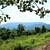 Mount Nebo: Summit Park Trail Summer Pics photo