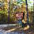 Billy Creek Trail - South Loop (Ouachita Forest) - 7 mi photo Billy Creek Trail - South Loop (Ouachita Forest) - 7 mi photo