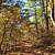 Billy Creek Trail - South Loop (Ouachita Forest) - 7 mi photo Billy Creek Trail - South Loop (Ouachita Forest) - 7 mi photo