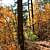 Billy Creek Trail - South Loop (Ouachita Forest) - 7 mi photo Billy Creek Trail - South Loop (Ouachita Forest) - 7 mi photo