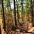 Billy Creek Trail - South Loop (Ouachita Forest) - 7 mi photo Billy Creek Trail - South Loop (Ouachita Forest) - 7 mi photo