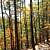 Billy Creek Trail - South Loop (Ouachita Forest) - 7 mi photo Billy Creek Trail - South Loop (Ouachita Forest) - 7 mi photo