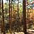 Billy Creek Trail - South Loop (Ouachita Forest) - 7 mi photo Billy Creek Trail - South Loop (Ouachita Forest) - 7 mi photo