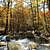 Billy Creek Trail - South Loop (Ouachita Forest) - 7 mi photo Billy Creek Trail - South Loop (Ouachita Forest) - 7 mi photo